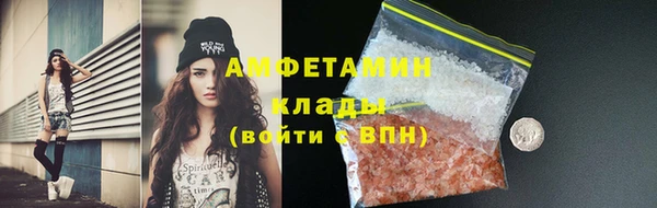 твердый Михайлов