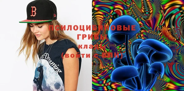 молекула духа Надым