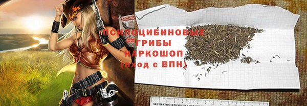 молекула духа Надым