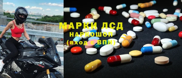 гашик Михайловск