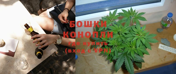 молекула духа Надым