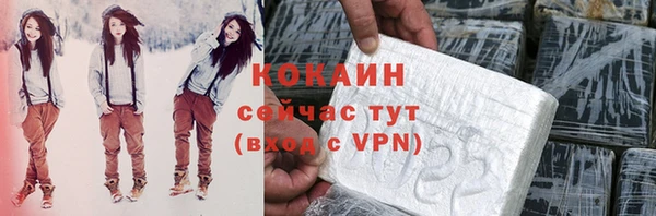 молекула духа Надым