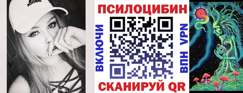 Псилоцибиновые грибы GOLDEN TEACHER  купить закладку  Мурино 