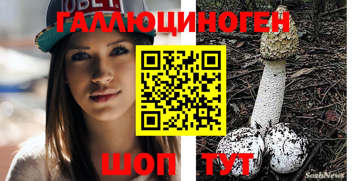 Галлюциногенные грибы прущие грибы Мурино