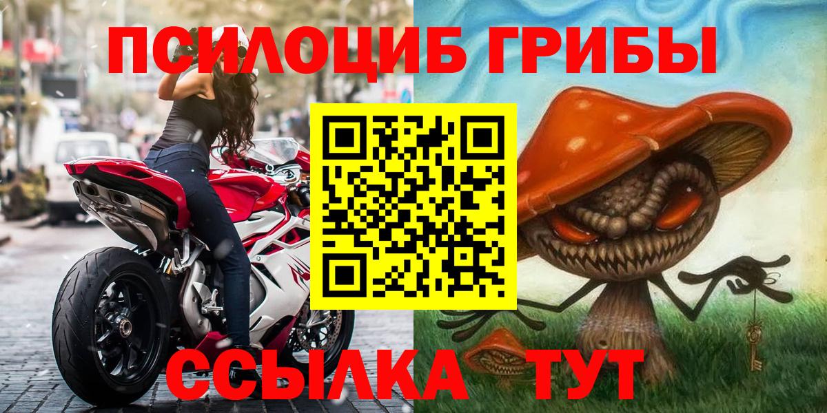 Псилоцибиновые грибы Psilocybine cubensis  Вход с VPN  Мурино 